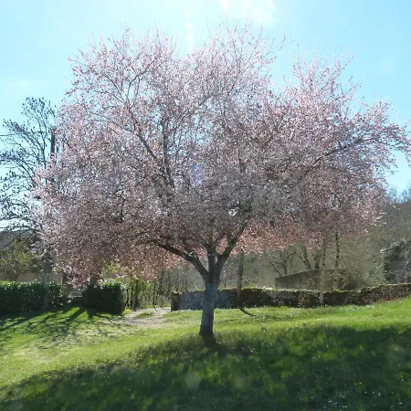Avec Piscine Proche De St Cirq Lapopie