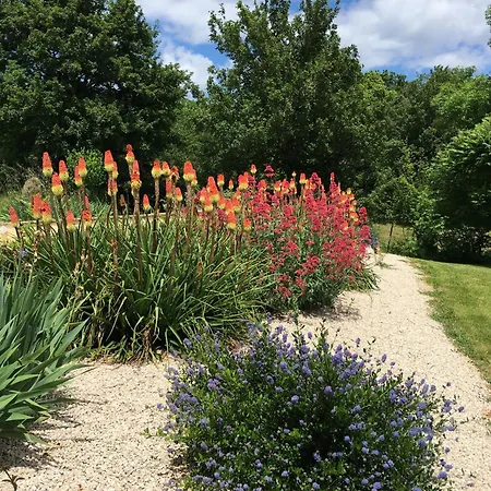 Avec Piscine Proche De St Cirq Lapopie *