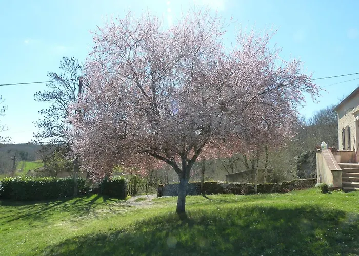 Avec Piscine Proche De St Cirq Lapopie